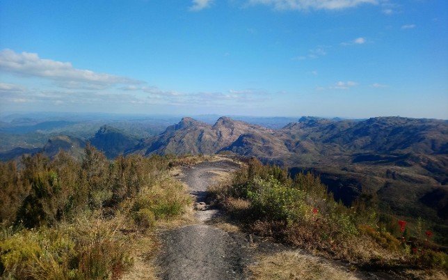 Monte Laibury